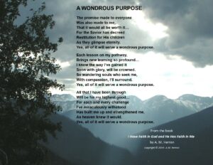 A Wondrous Purpose